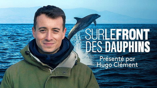 Image Des dauphins