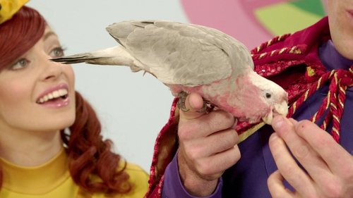 Image de l'épisode 15