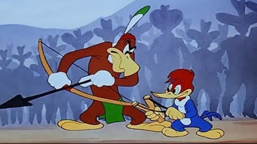 Poster della serie The Woody Woodpecker Show