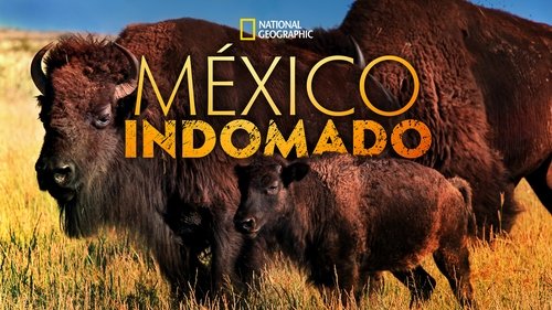 Mexico Untamed