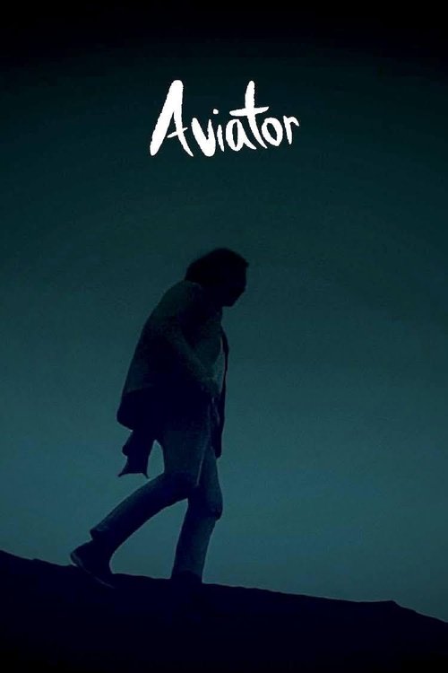 Aviator movie poster player