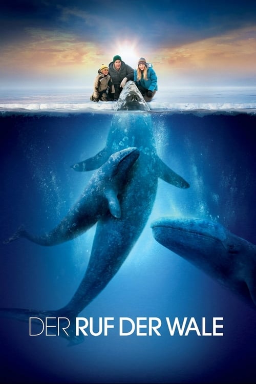 Big Miracle poster