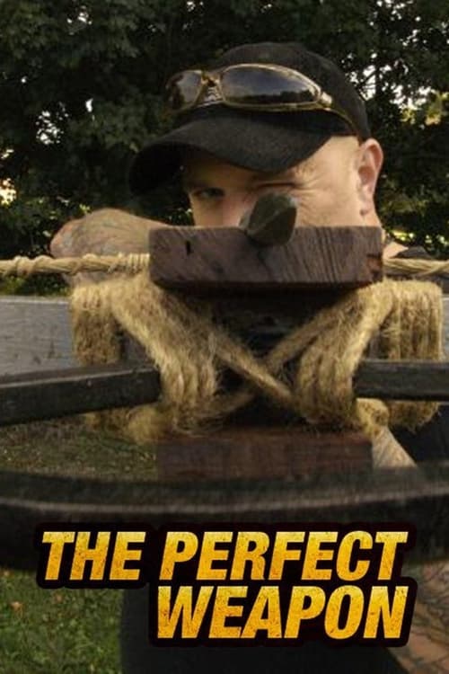 Perfect Weapon (2008)