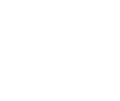 Nadie Sabrá Nunca
