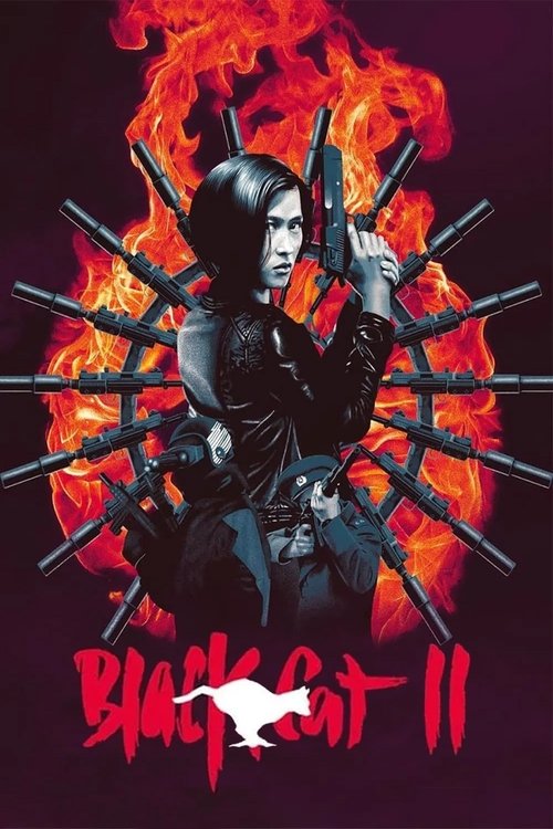 Poster 6
