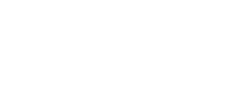 The Painter