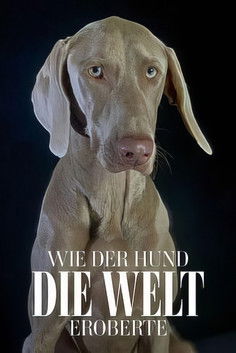 Wie der Hund die Welt eroberte