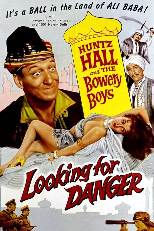 Looking for Danger Movie Poster Image