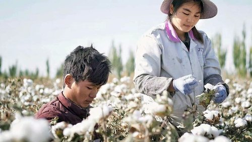 Blanc, comme le mont Tianzhu et le désert de Gobi