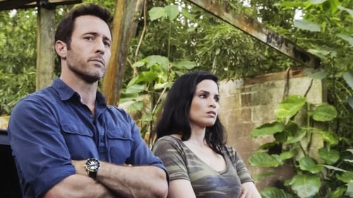 Poster della serie Hawaii Five-0