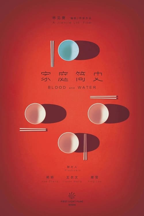 家庭简史 (2024) poster