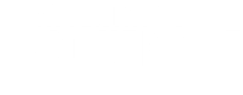 ATTENTATS DU 13 NOVEMBRE 2015 : LES HÉROS DU CHAOS