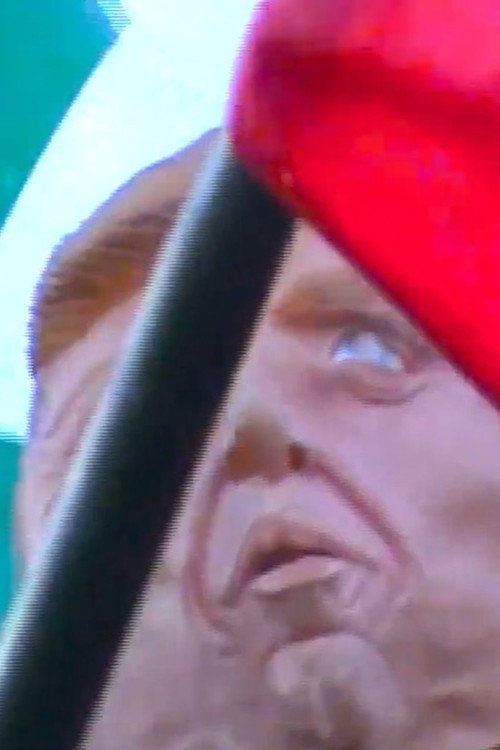 Cartell de cabeça no mar de bandeiras