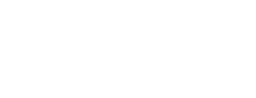 What Killed Maradona?