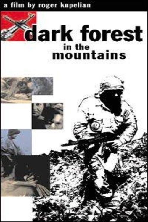 Dark Forest in the Moutains