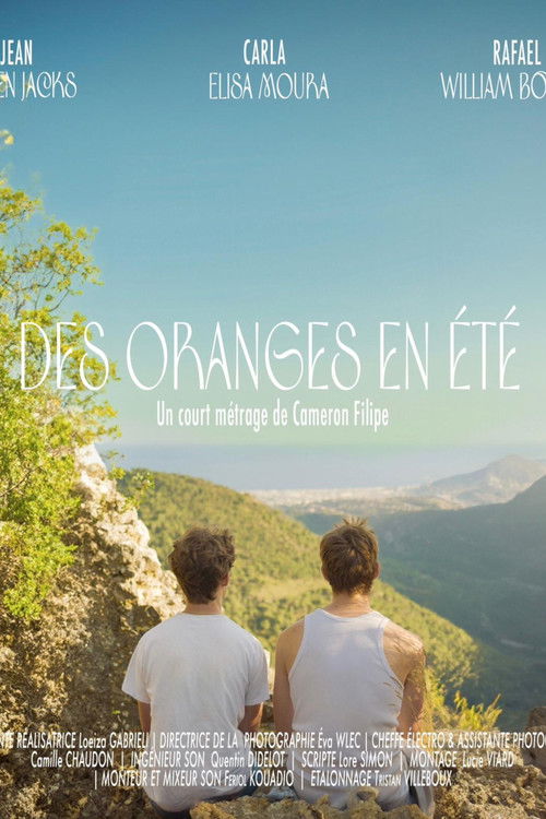 Oranges in Summer poster