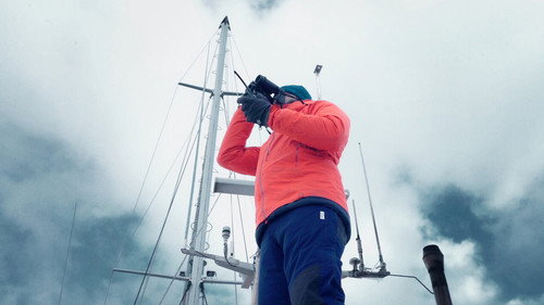 Observations at 65° South Backdrop Blur