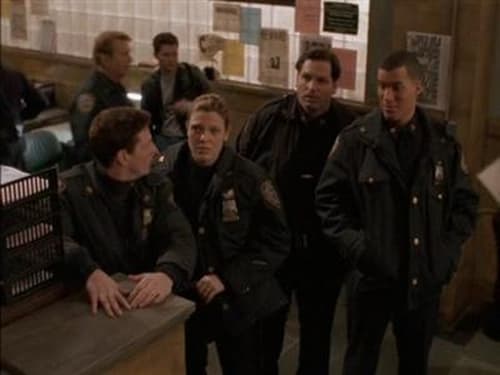 Poster della serie Third Watch