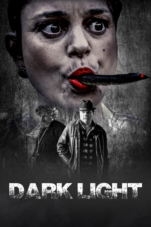 Poster Dark Light 2021