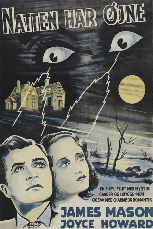 The Night Has Eyes poster