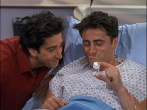 Friends: 5×3