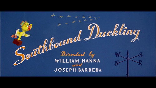 Southbound Duckling