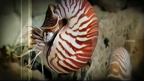 Geosfera - Season 1 Backdrop Blur