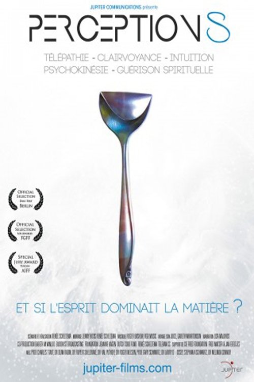 Perceptions (2014) poster