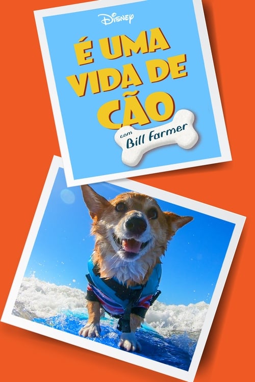 Image É Uma Vida de Cão, com Bill Farmer