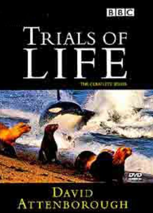 Ver pelicula The Trials of Life Online