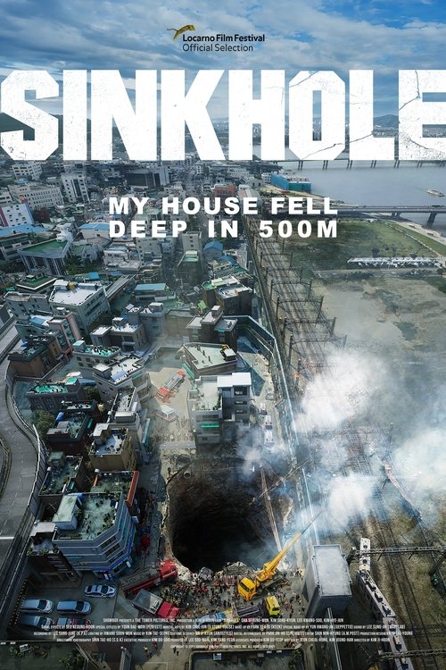 Sinkhole poster