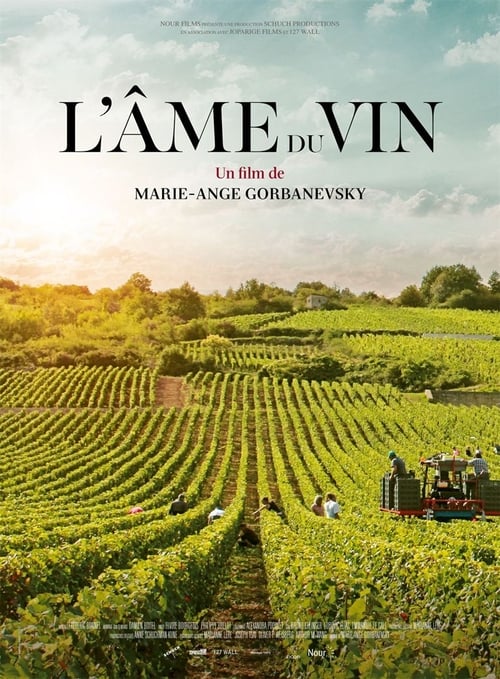 L'âme du vin 2019