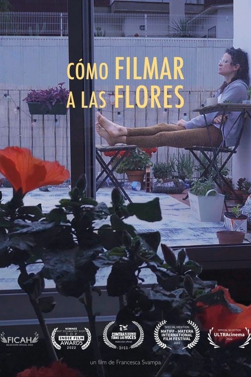 Cómo filmar a las flores