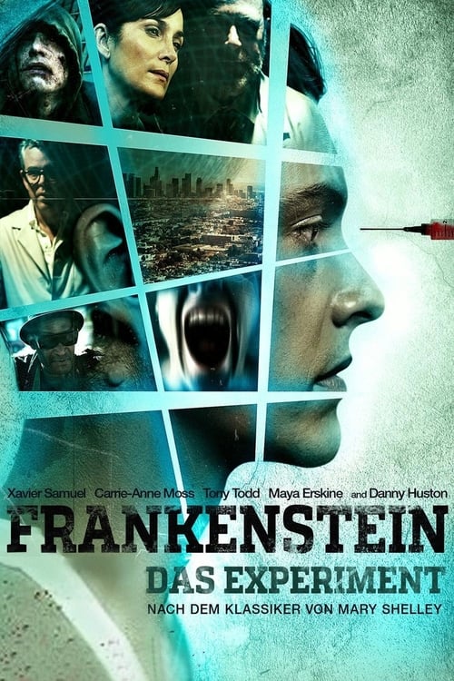 Frankenstein - Das Experiment 2015