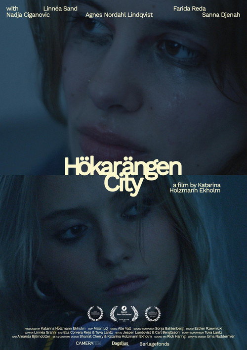 Hökarängen City poster