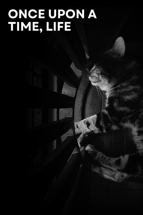 Once Upon a Time, Life