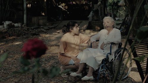 Image du film
