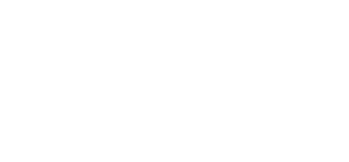 Palmer