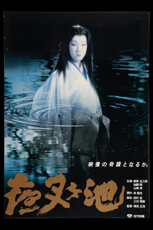 Demon Pond poster