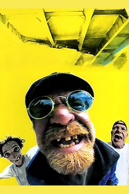 Bumfights Vol. 3: The Felony Footage