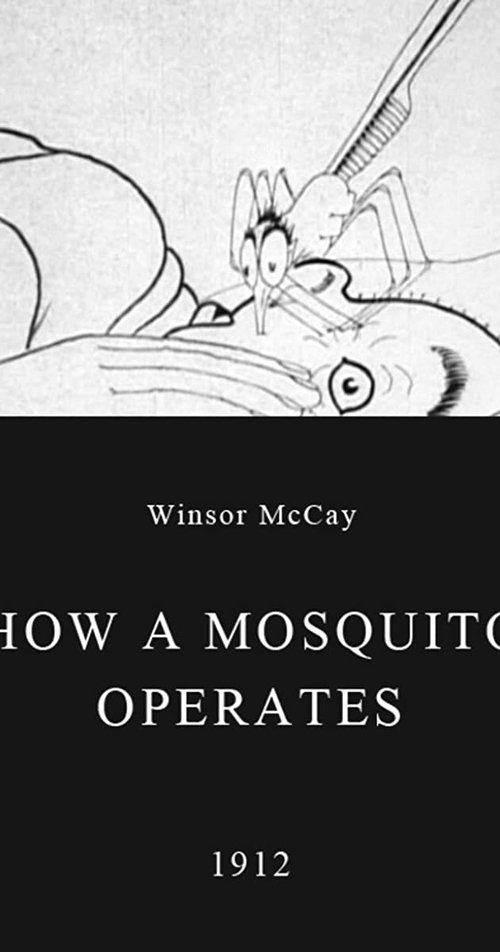 How a Mosquito Operates 1912