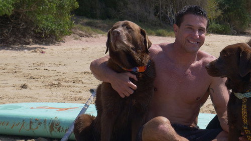 Bono, O Cão Surfista Backdrop Blur