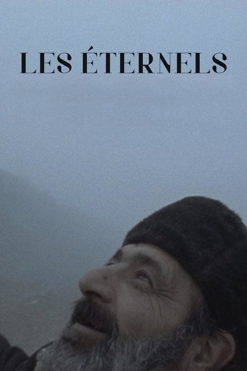 Les éternels movie poster player