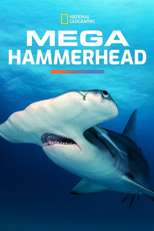 Where to stream Mega Hammerhead