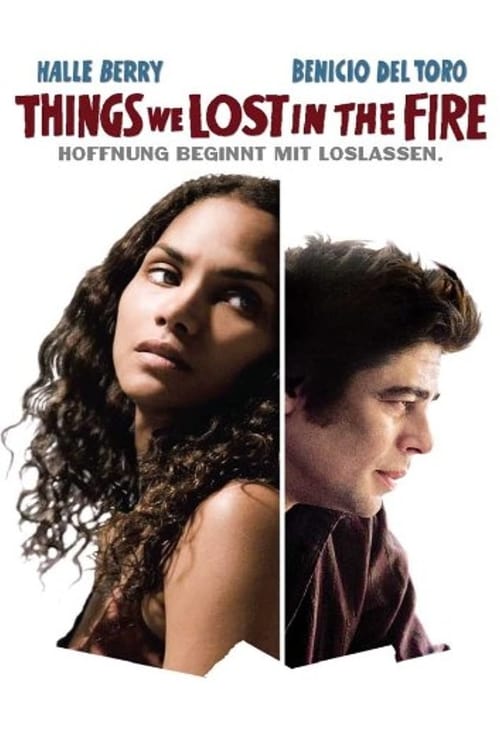 Things We Lost in the Fire poster