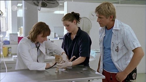 Image de l'épisode 8