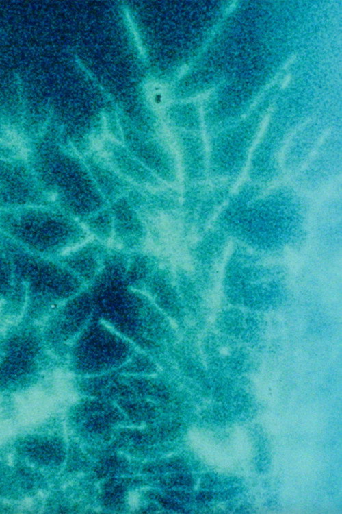 Aftertide