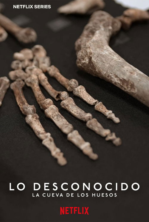 Unknown: Cave of Bones poster