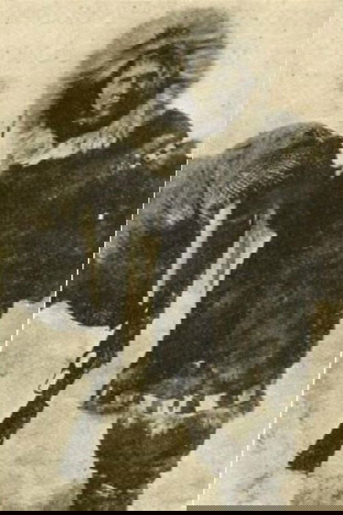 Captain F.E. Kleinschmidt's Arctic Hunt