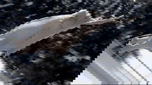 Image de l'épisode 13